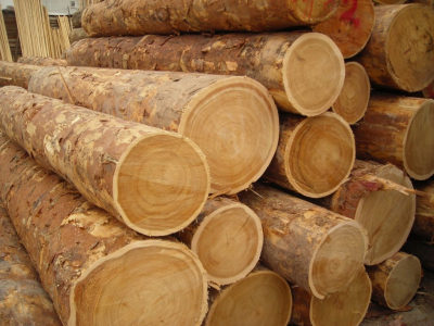 Миниатюра для главного изображения объявления