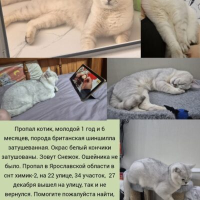 Миниатюра для главного изображения объявления